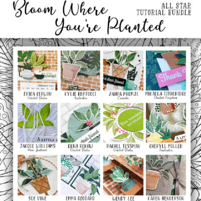 Bloom Where You're Planted 12 Video Tutorial Collection
