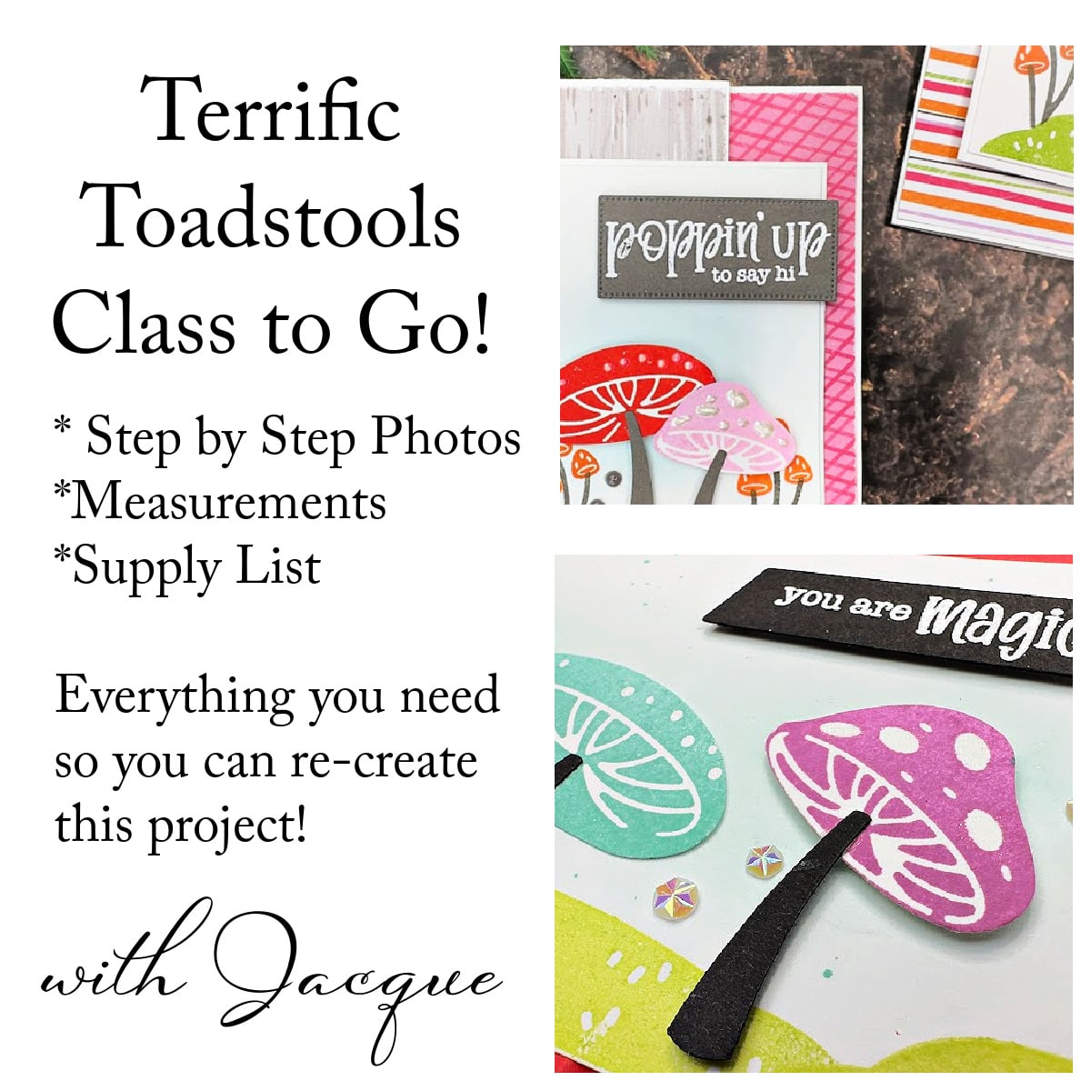 Terrific Toadstools Class To Go