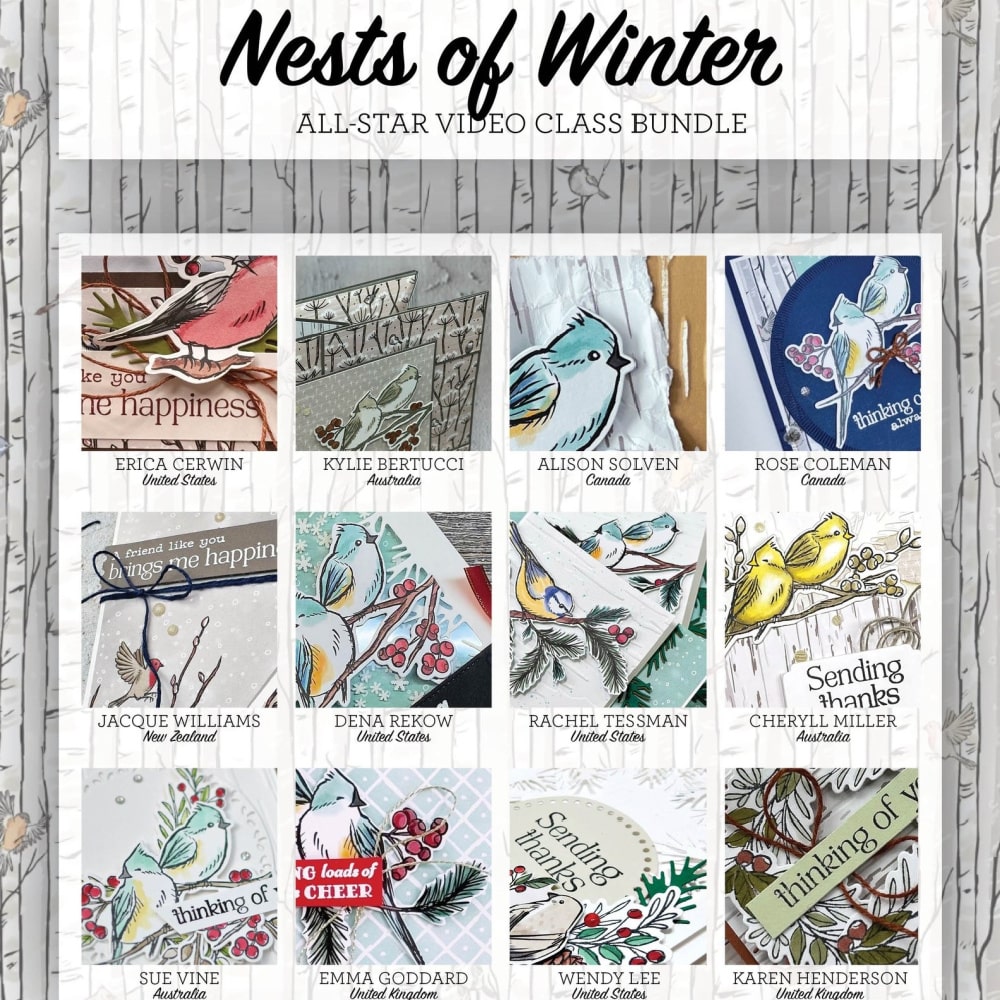 Nests of Winter 12 Project Video Class