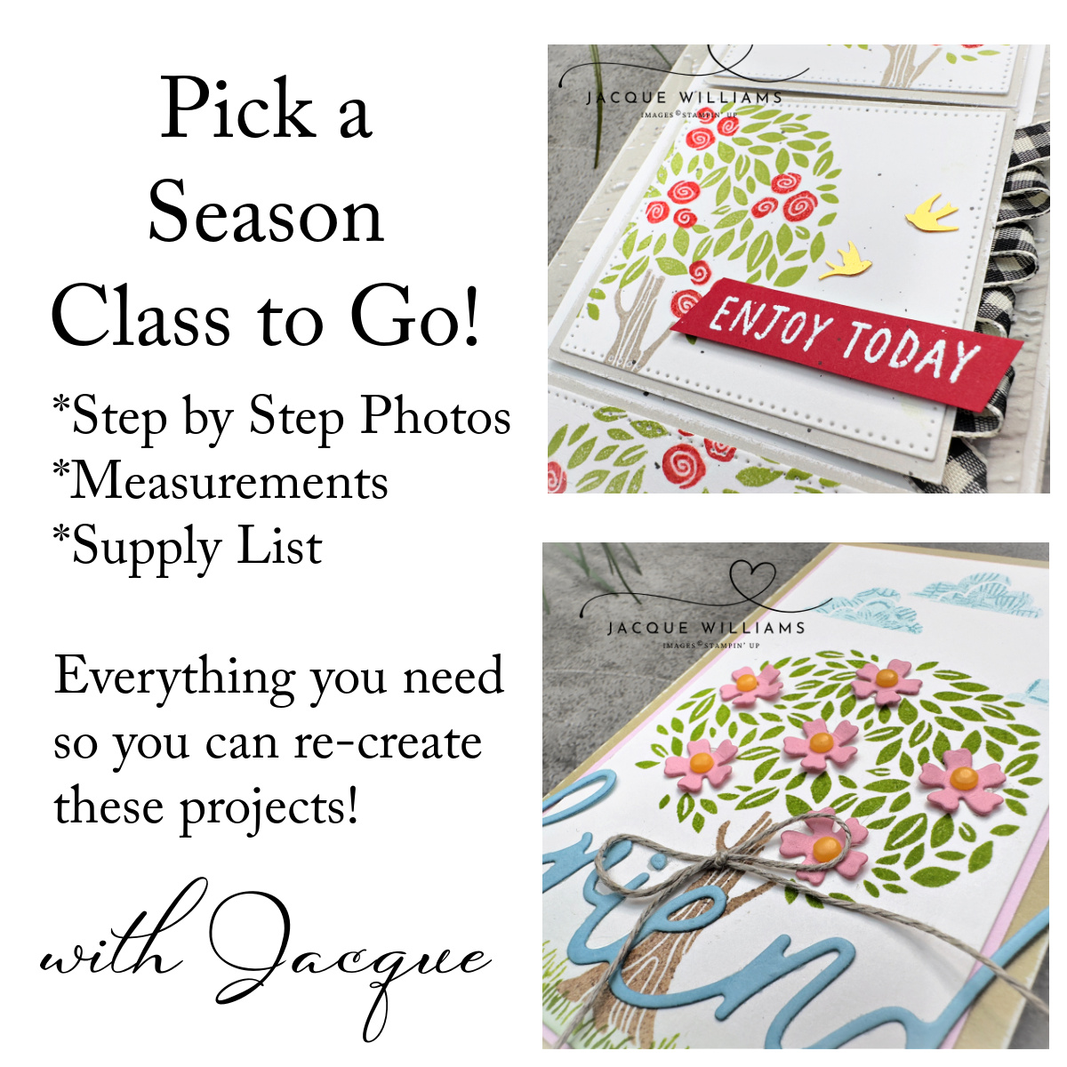 Pick a Season Class to Go PDF