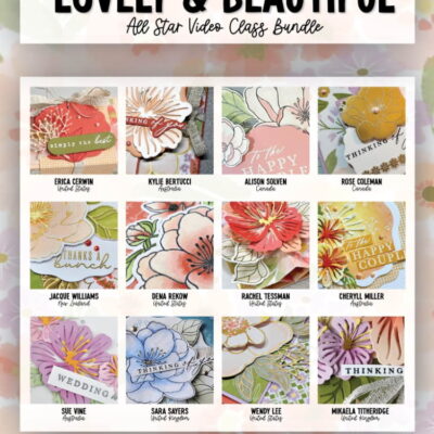 Lovely And Beautiful 12 Project Video Class