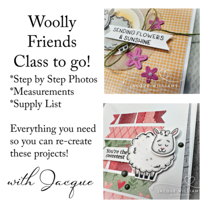 Woolly Friends Class to Go