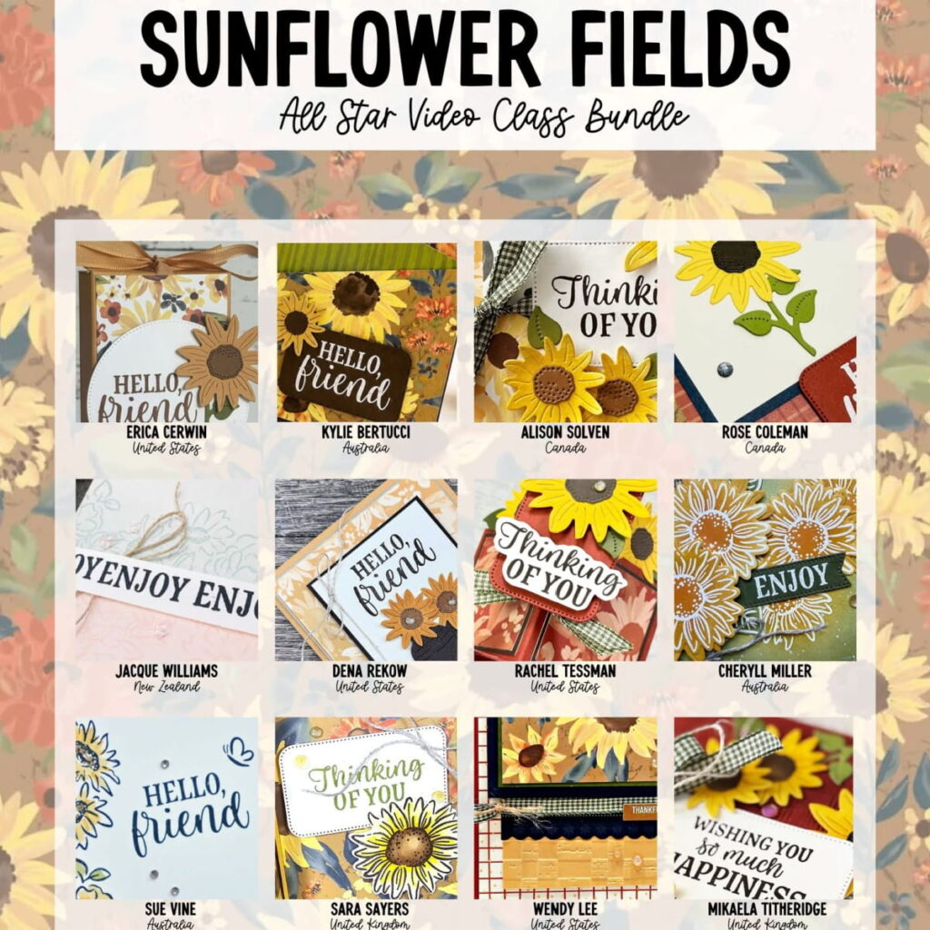 Sunflower Fields 12 Project Video Class