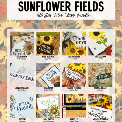 Sunflower Fields 12 Project Video Class